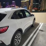 Avis Car Rental