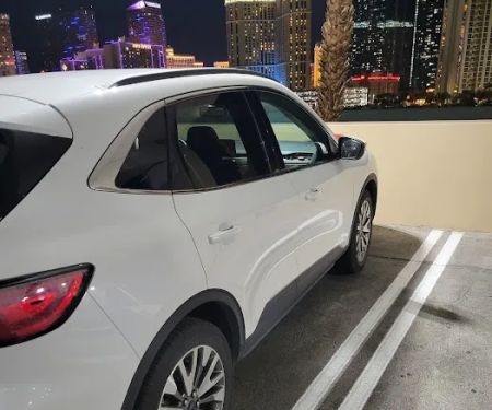 Avis Car Rental