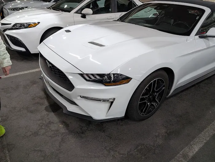 Avis Car Rental Picture 3