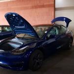 Avis Car Rental