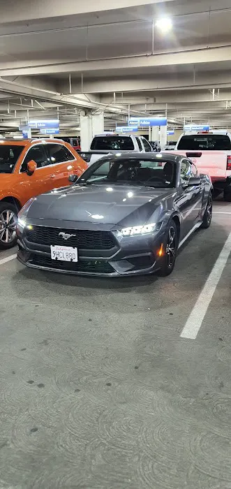 Dollar Rent A Car Picture 1