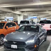 Dollar Rent A Car ico