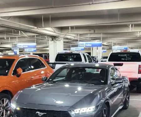 Dollar Rent A Car