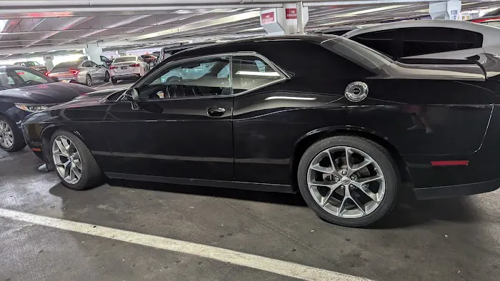 Alamo Rent A Car Picture 8
