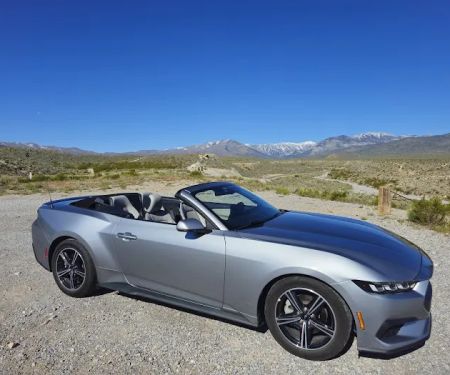 Alamo Rent A Car