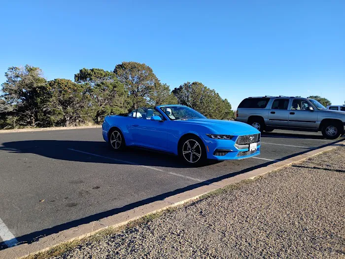 Alamo Rent A Car Picture 6
