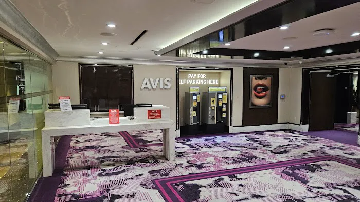 Avis Car Rental Picture 5