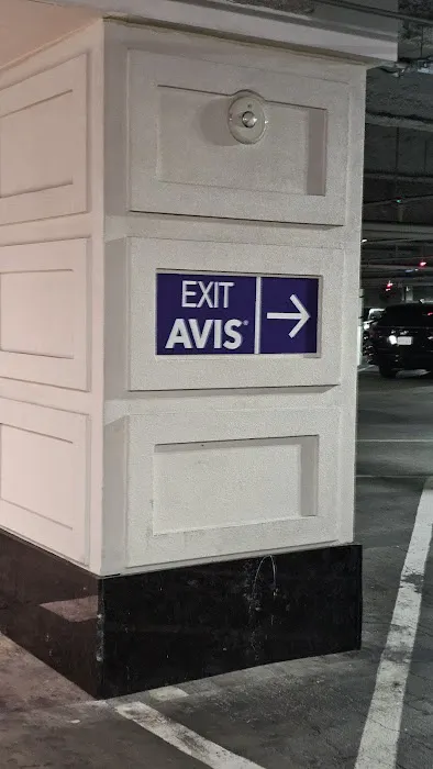 Avis Car Rental Picture 1