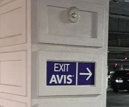 Avis Car Rental