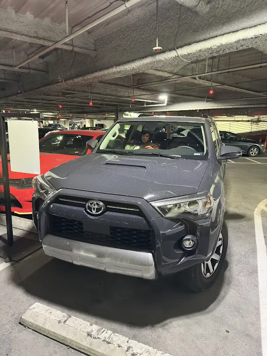 Avis Car Rental Picture 2