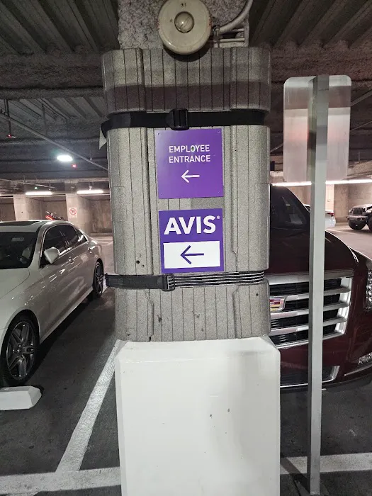 Avis Car Rental Picture 6