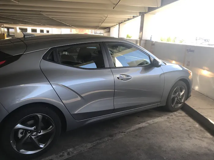 Dollar Car Rental Picture 6