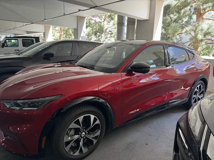 Avis Car Rental Picture 7
