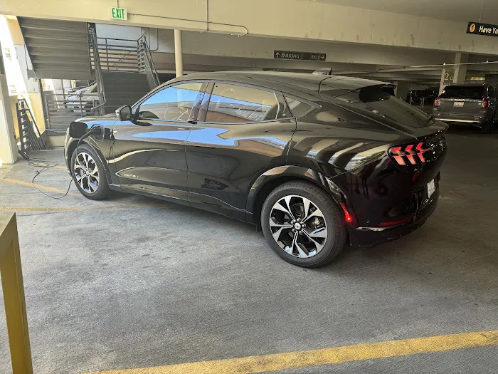 Avis Car Rental Picture 2