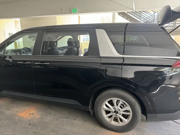 Avis Car Rental Picture 8