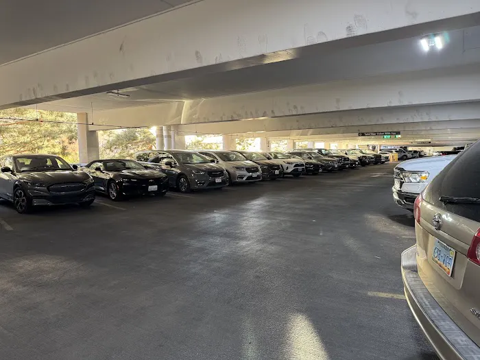 Avis Car Rental Picture 5