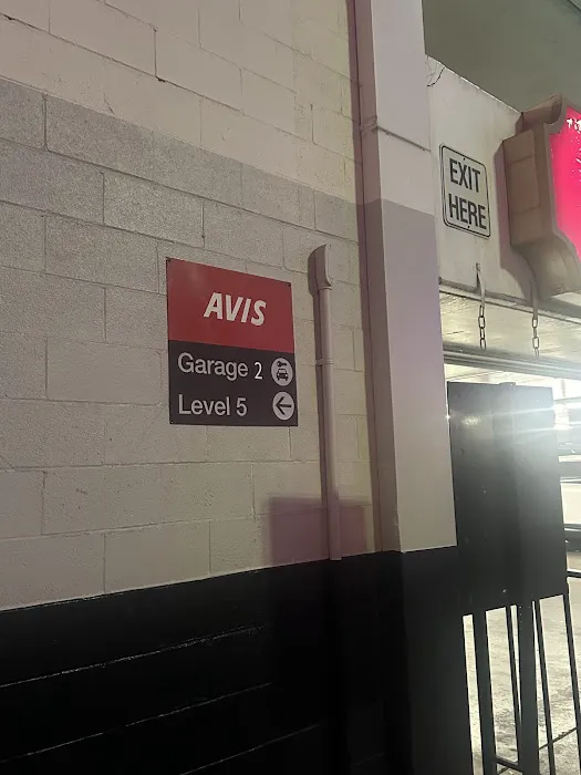 Avis Car Rental Picture 8