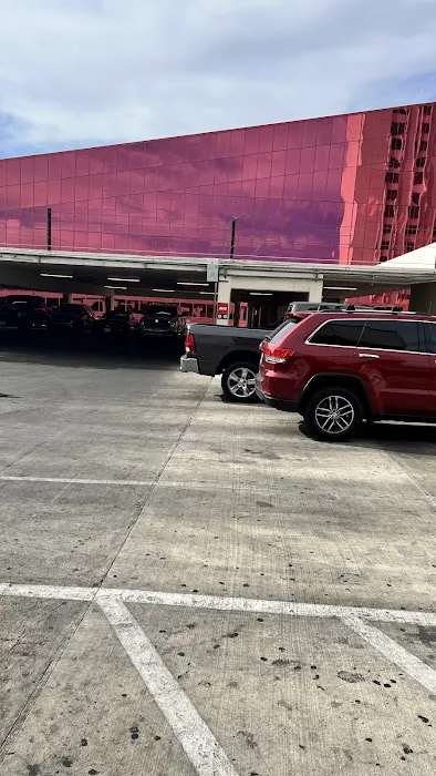 Avis Car Rental Picture 7