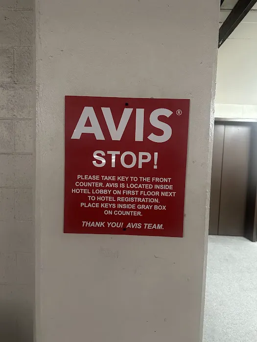 Avis Car Rental Picture 2