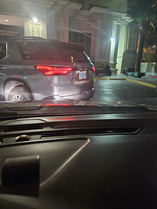 Buggy Rideshare Rental - Las Vegas Picture 4