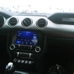 Avis Car Rental