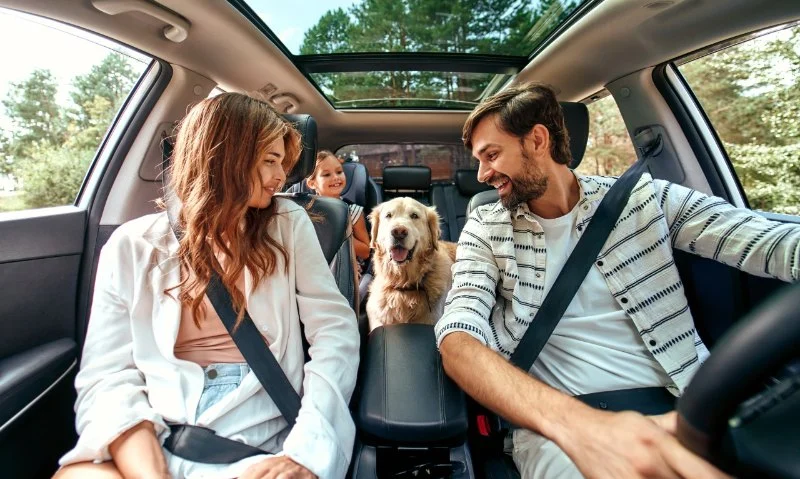 How to Choose the Right Rental Car Company for a Pet-Friendly Road Trip