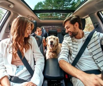 How to Choose the Right Rental Car Company for a Pet-Friendly Road Trip