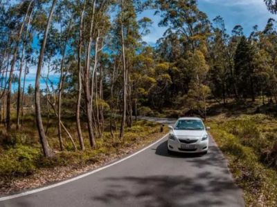 Best Budget Cars to Rent for City Exploration in the U.S.