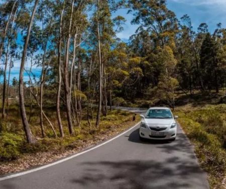 Best Budget Cars to Rent for City Exploration in the U.S.