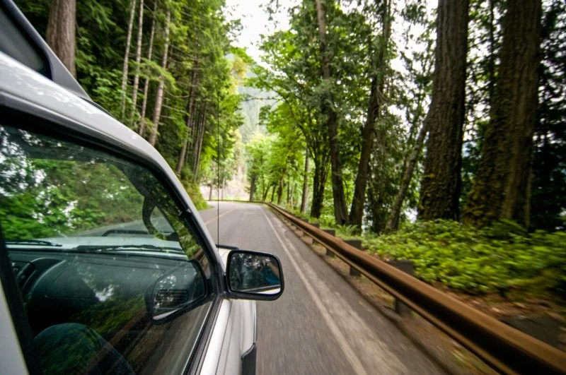 Car Rental Policies for Driving Through National Forests