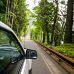 Car Rental Policies for Driving Through National Forests