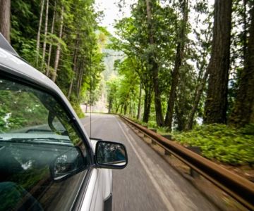 Car Rental Policies for Driving Through National Forests
