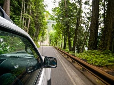Car Rental Policies for Driving Through National Forests