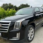 Best Rental Cars for Exploring California Wine Country