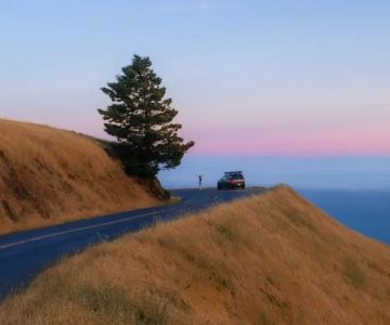 Best Rental Cars for Exploring Northern California Road Trips