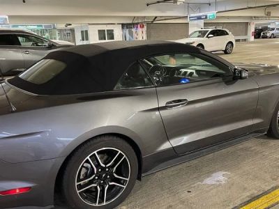 How to Find Cheap Car Rentals in Minneapolis St Paul Airport