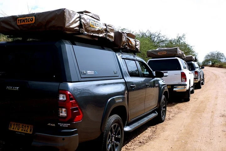 Top Rental Cars for Exploring the New Mexico Desert | LifeStar Car Rental