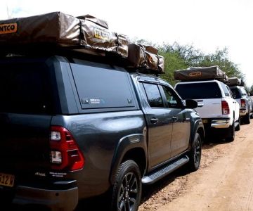 Top Rental Cars for Exploring the New Mexico Desert | LifeStar Car Rental