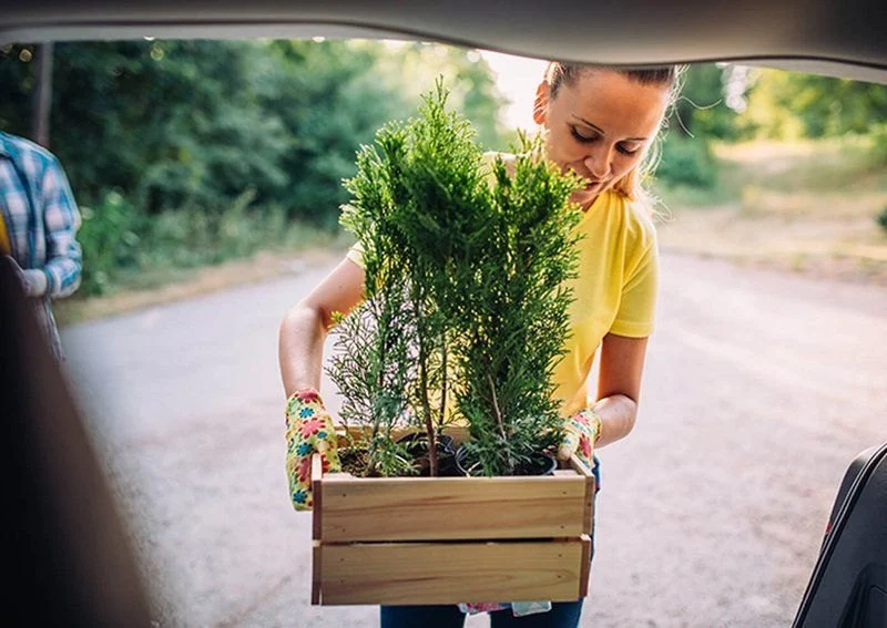 How to Rent a Car for a Botanical Garden Day Trip With Fragile Plants