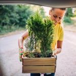 How to Rent a Car for a Botanical Garden Day Trip With Fragile Plants