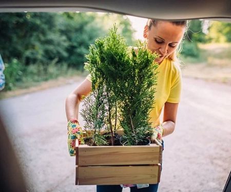 How to Rent a Car for a Botanical Garden Day Trip With Fragile Plants